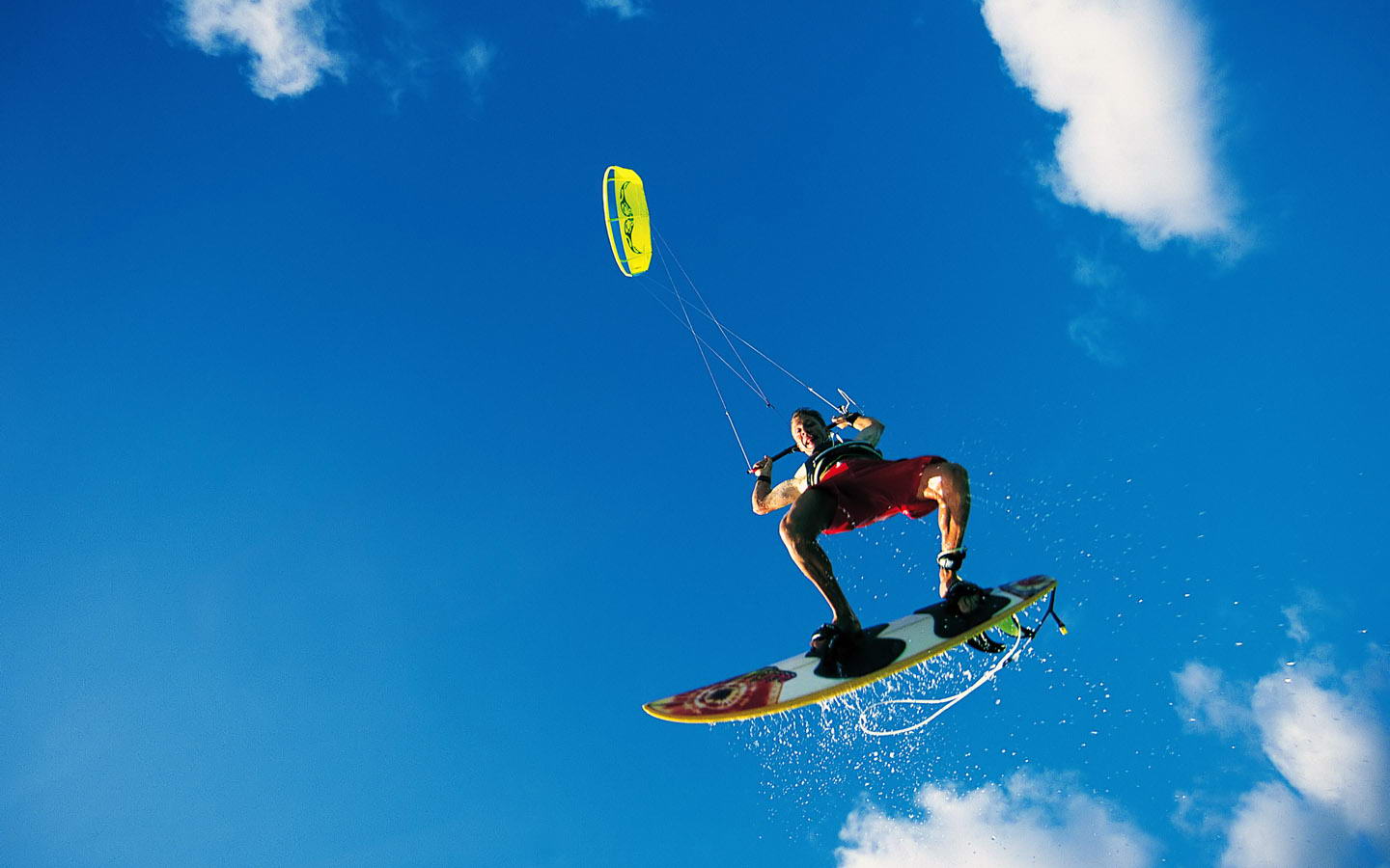 胁扼杀在萌 胁扼杀在萌