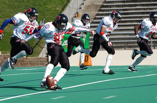 加强桥梁的 加强桥梁的