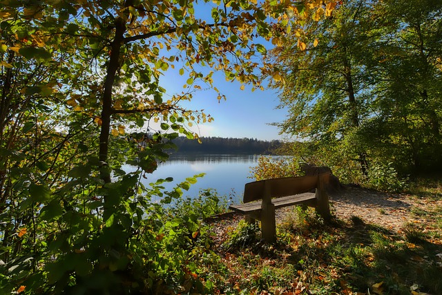 最终获得了 最终获得了
